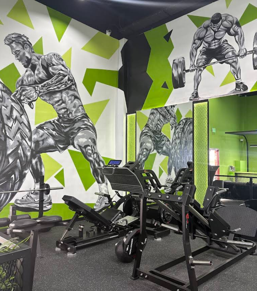 Secret Sport Gym Training Zone Athletic Murals and Premium Equipment
