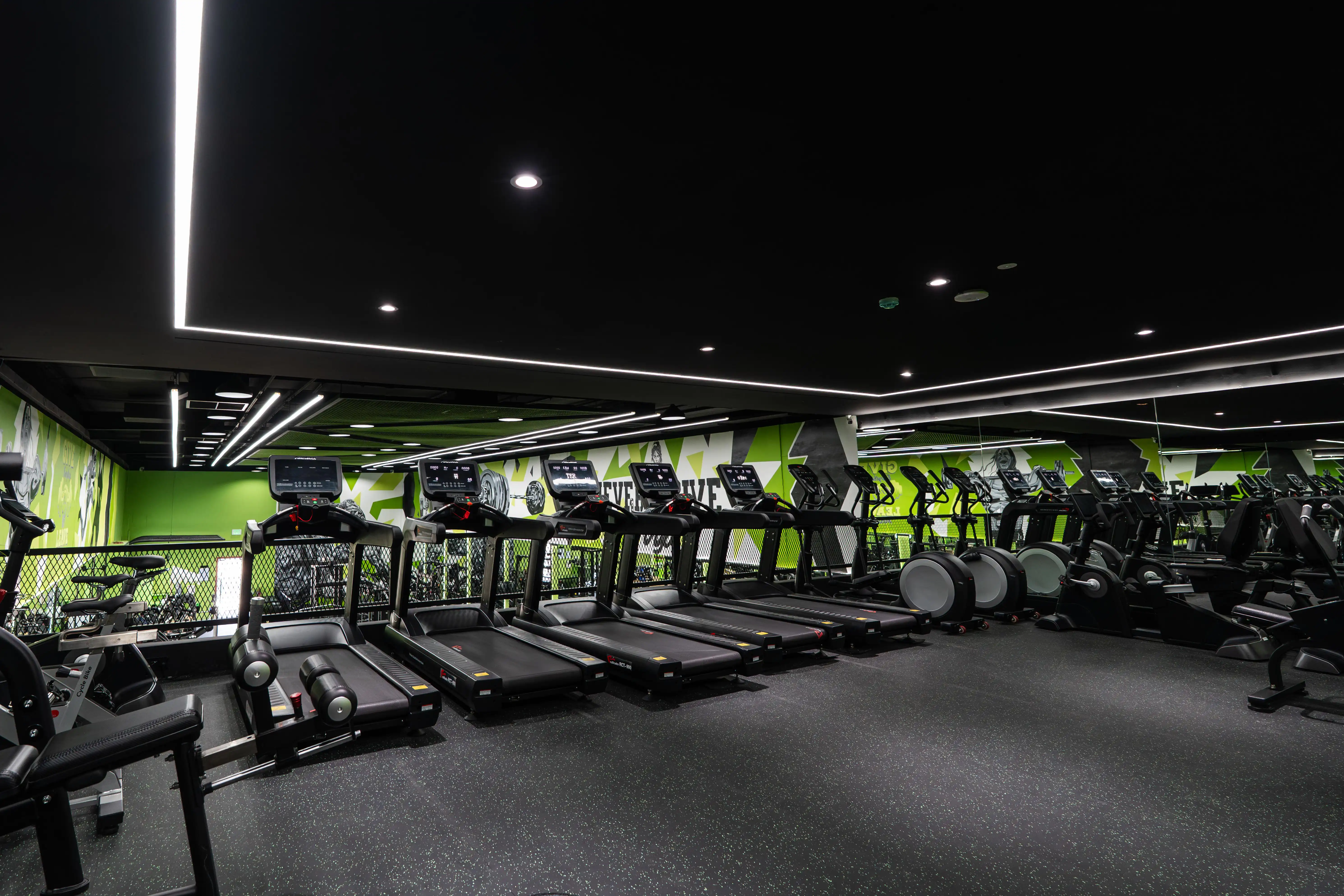 Row of treadmills at our gym in Al Quoz Industrial Area 4, Dubai
